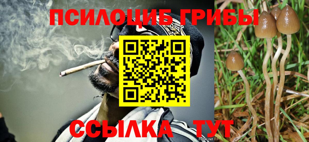 Полысаево  Галлюциногенные грибы Magic Shrooms  Вход с VPN 